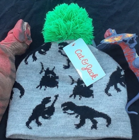 Other - Dinosaur Winter Hat and 6 Dinosaur Toy Bundle
